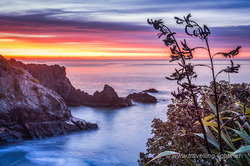 Rarangi Dawn, Marlborough